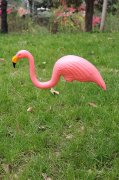 Flamingo W012