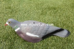 Pigeon S026