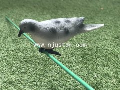 Pigeon S044
