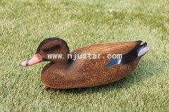 Duck N029