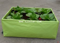 Planter bag PP011